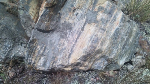 Гигантские зелёные валуны для ландшафтного дизайна весом более 5 тонн купить в Ногинску