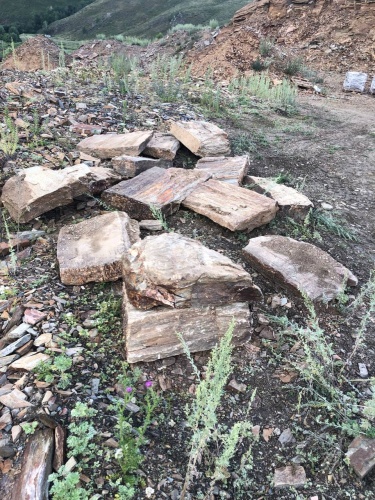 Плитняк кора дерева 50-100мм для пошаговых дорожек купить в Ногинску